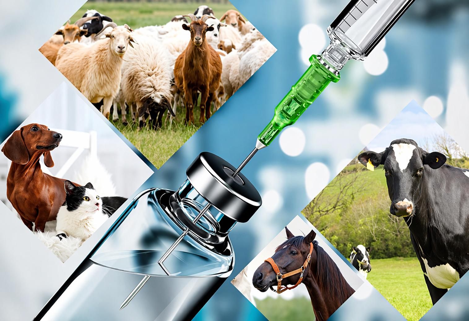 Veterinary Pharmaceutical Drugs